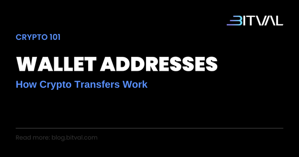 What Is a Crypto Wallet Address? How Transfers Work